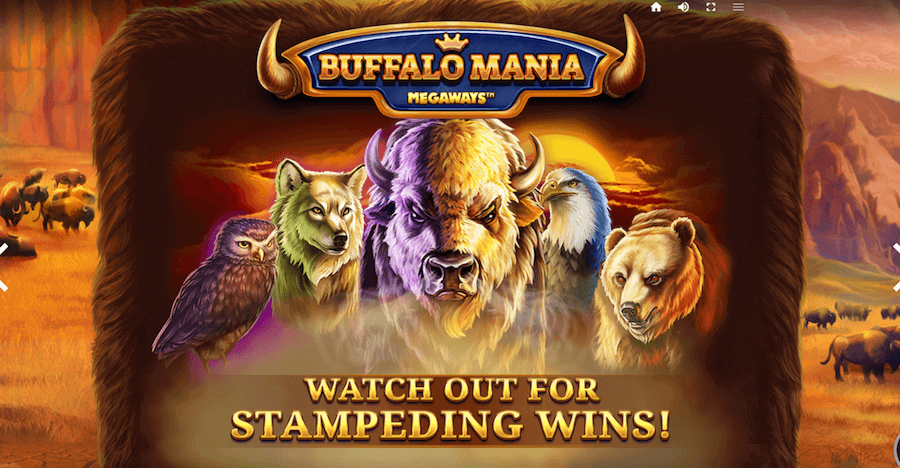 Slot Buffalo Mania Megaways.