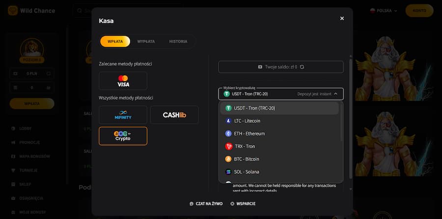 Wybór kryptowaluty w kasie WildChance